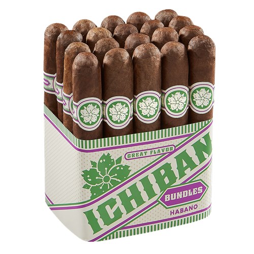 Room 101 Ichiban Habano 5x50 Robusto